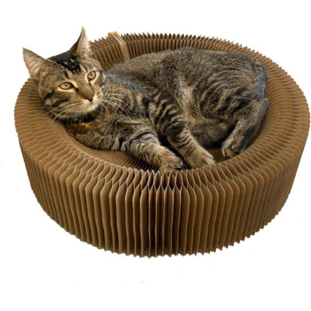 Cat Scratcher Lounge Bed - Collapsible Round Shape for Big cat